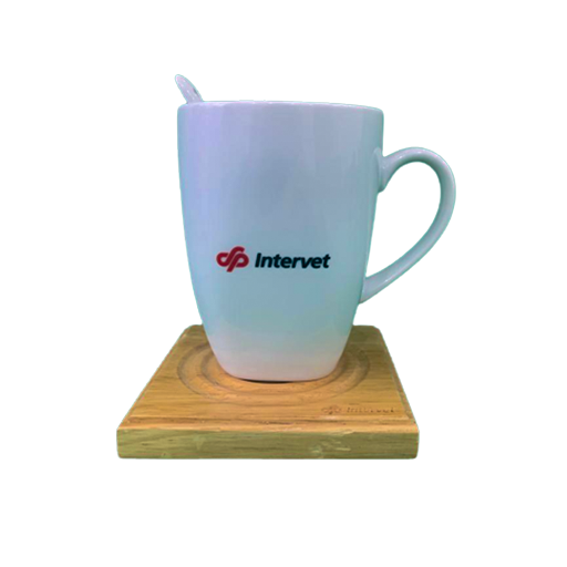 cana clickoffice